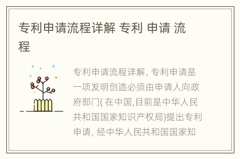 专利申请流程详解 专利 申请 流程