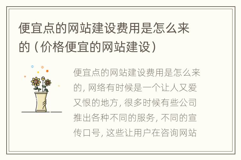 便宜点的网站建设费用是怎么来的（价格便宜的网站建设）