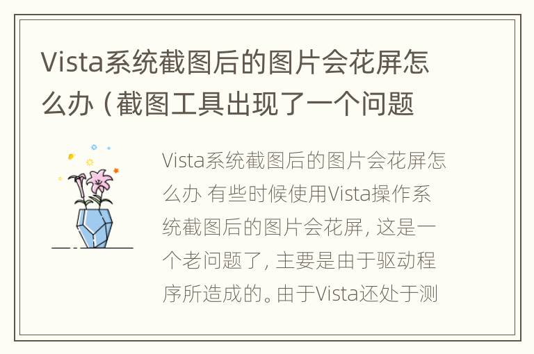 Vista系统截图后的图片会花屏怎么办（截图工具出现了一个问题,导致程序停止正常工作）