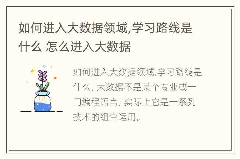 如何进入大数据领域,学习路线是什么 怎么进入大数据