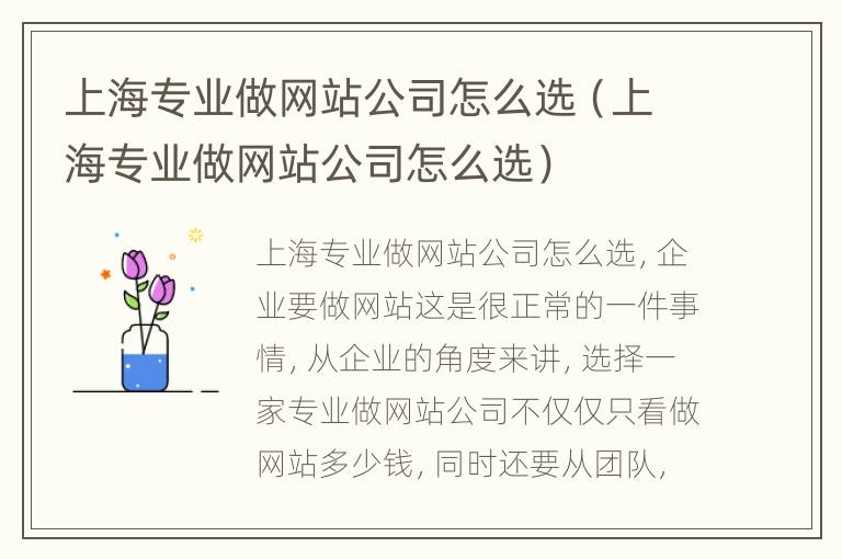 上海专业做网站公司怎么选（上海专业做网站公司怎么选）