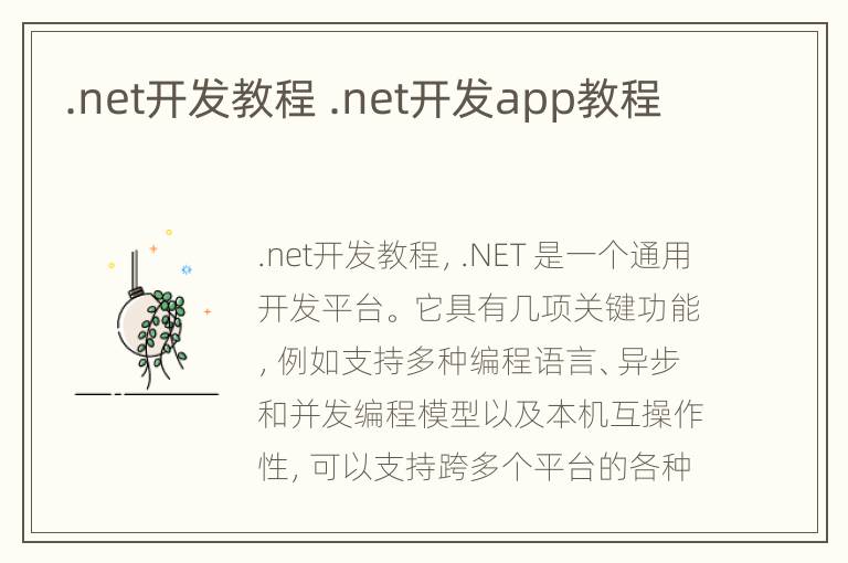 .net开发教程 .net开发app教程