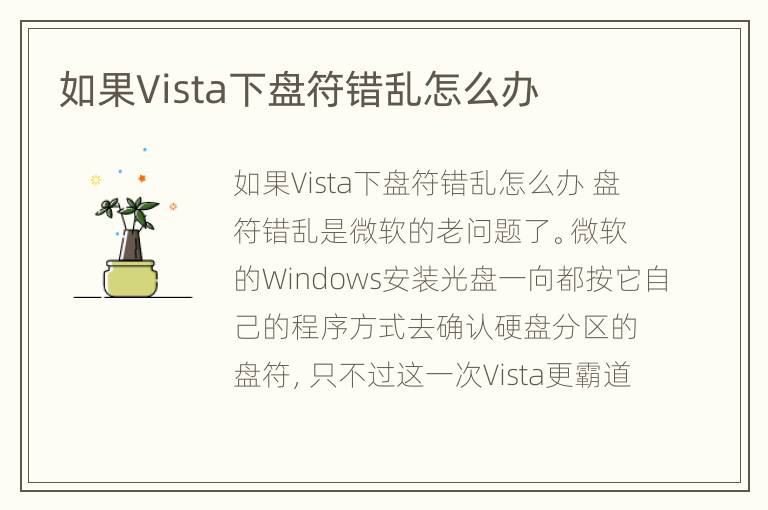 如果Vista下盘符错乱怎么办