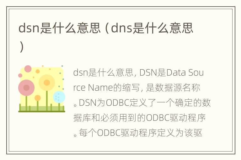 dsn是什么意思（dns是什么意思）