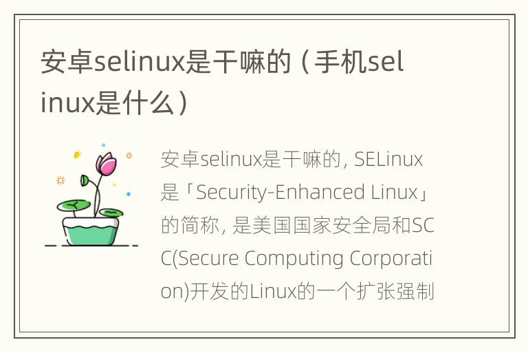 安卓selinux是干嘛的（手机selinux是什么）