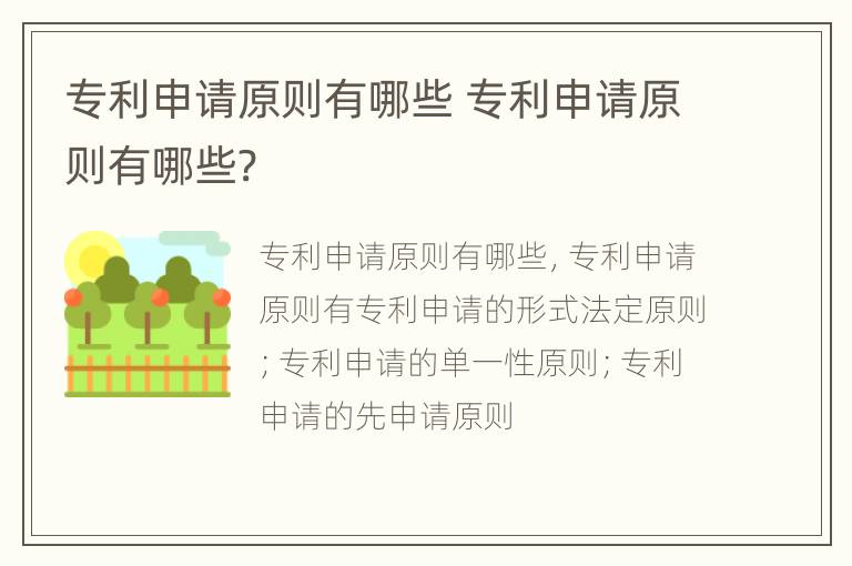 专利申请原则有哪些 专利申请原则有哪些?