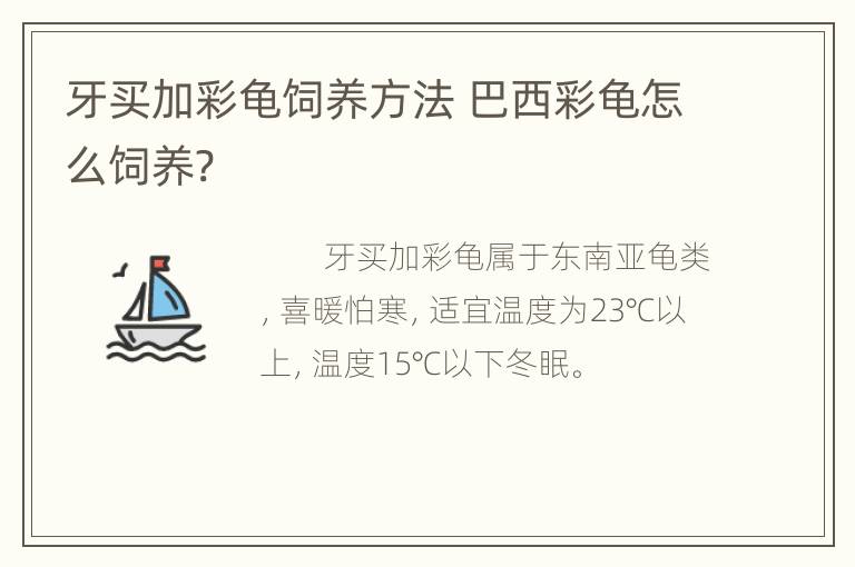 牙买加彩龟饲养方法 巴西彩龟怎么饲养?