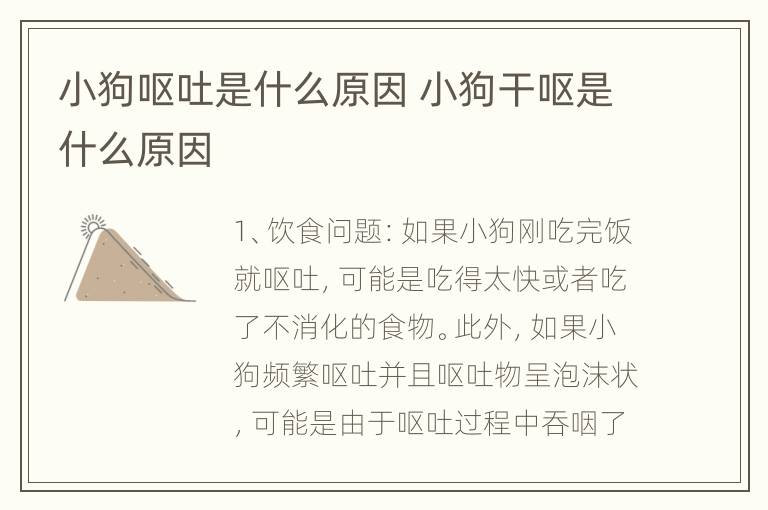 小狗呕吐是什么原因 小狗干呕是什么原因