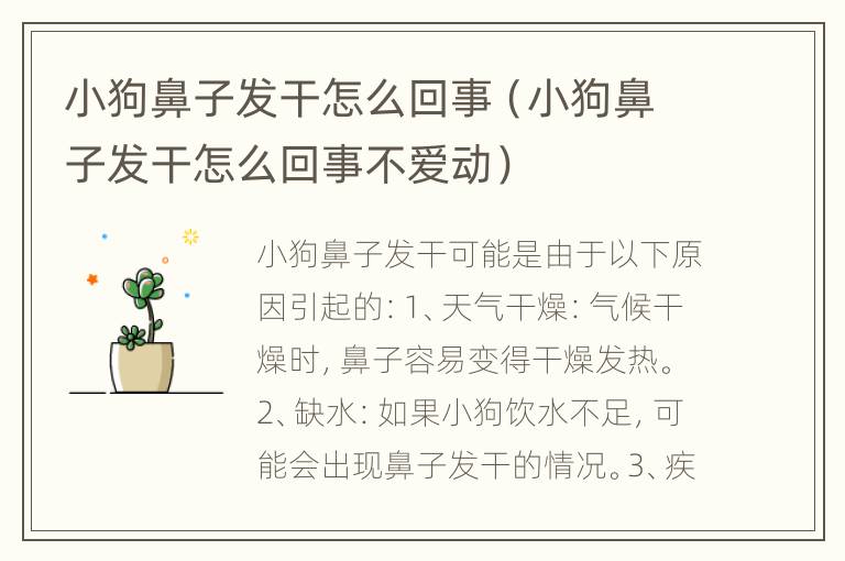 小狗鼻子发干怎么回事（小狗鼻子发干怎么回事不爱动）