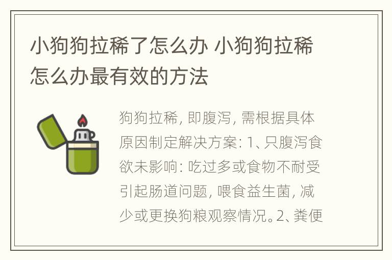 小狗狗拉稀了怎么办 小狗狗拉稀怎么办最有效的方法