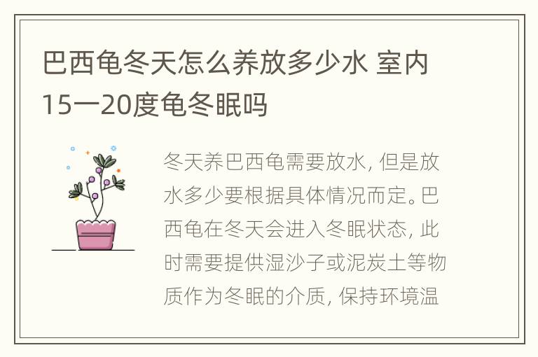 巴西龟冬天怎么养放多少水 室内15一20度龟冬眠吗