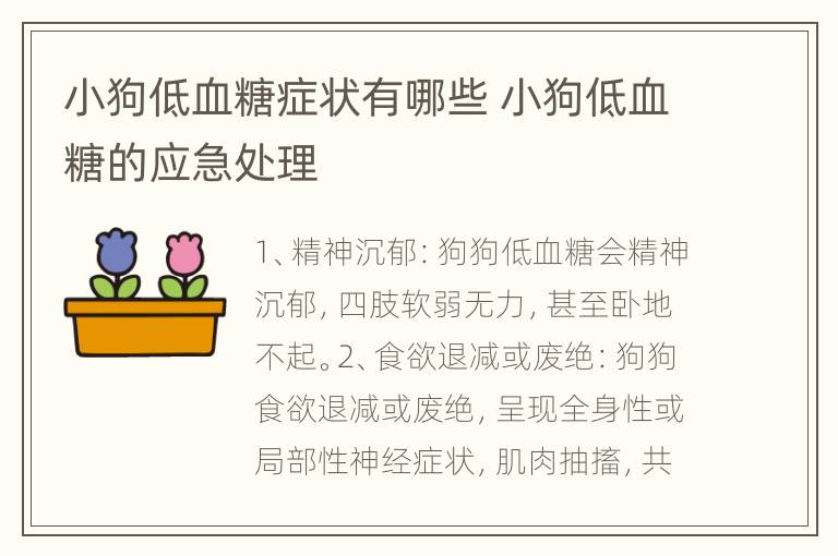 小狗低血糖症状有哪些 小狗低血糖的应急处理