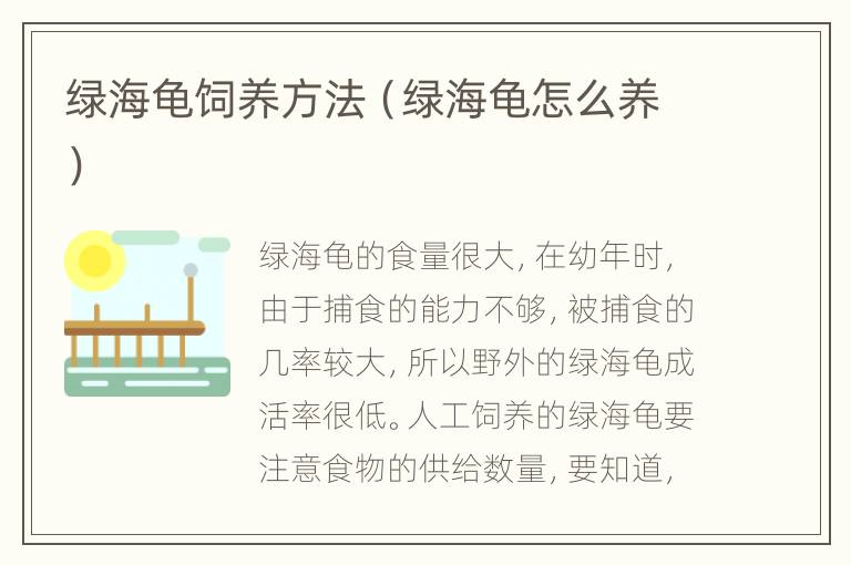 绿海龟饲养方法（绿海龟怎么养）