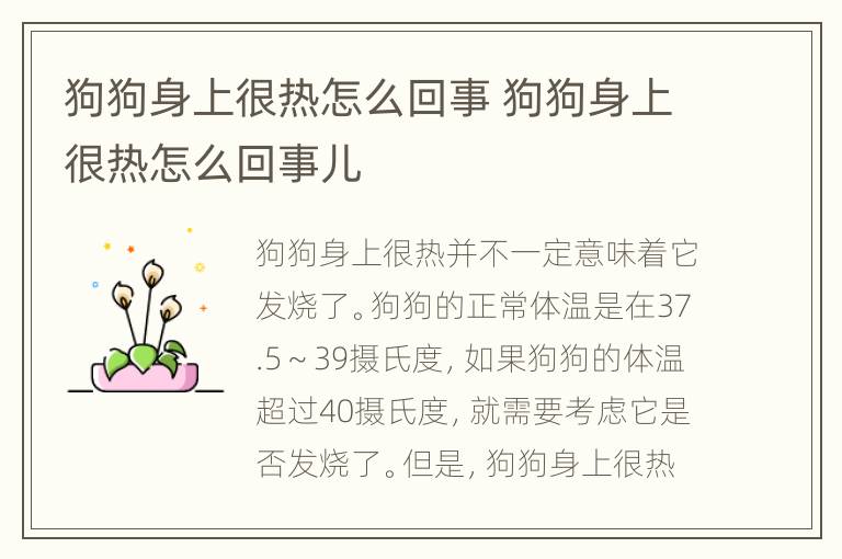 狗狗身上很热怎么回事 狗狗身上很热怎么回事儿