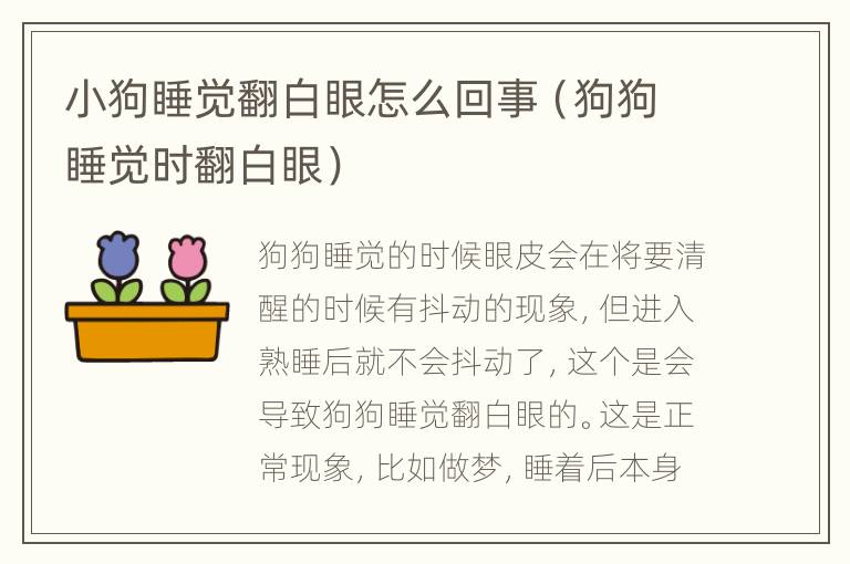 小狗睡觉翻白眼怎么回事（狗狗睡觉时翻白眼）