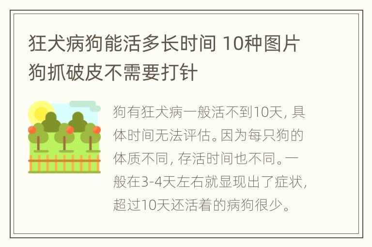 狂犬病狗能活多长时间 10种图片狗抓破皮不需要打针