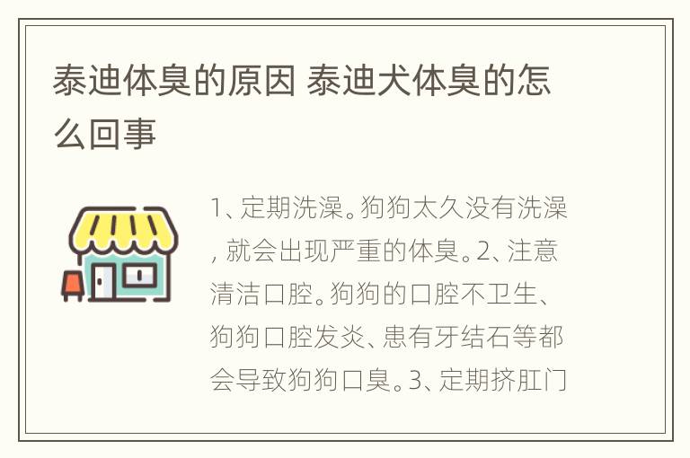 泰迪体臭的原因 泰迪犬体臭的怎么回事