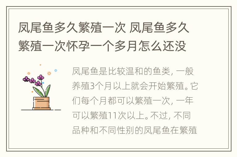 凤尾鱼多久繁殖一次 凤尾鱼多久繁殖一次怀孕一个多月怎么还没产仔