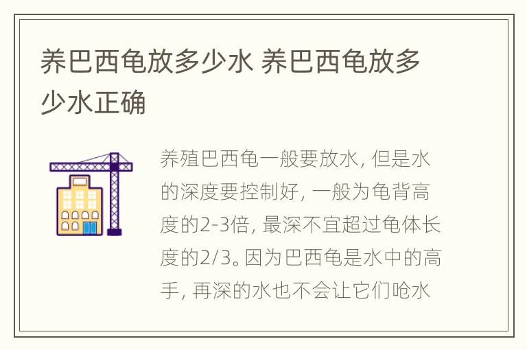 养巴西龟放多少水 养巴西龟放多少水正确