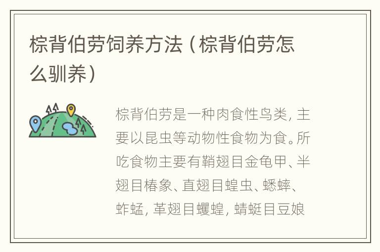 棕背伯劳饲养方法（棕背伯劳怎么驯养）