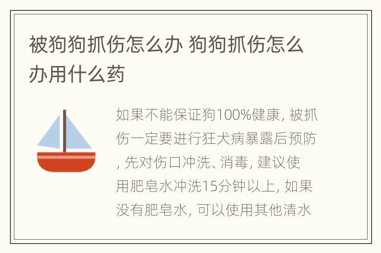 被狗狗抓伤怎么办 狗狗抓伤怎么办用什么药