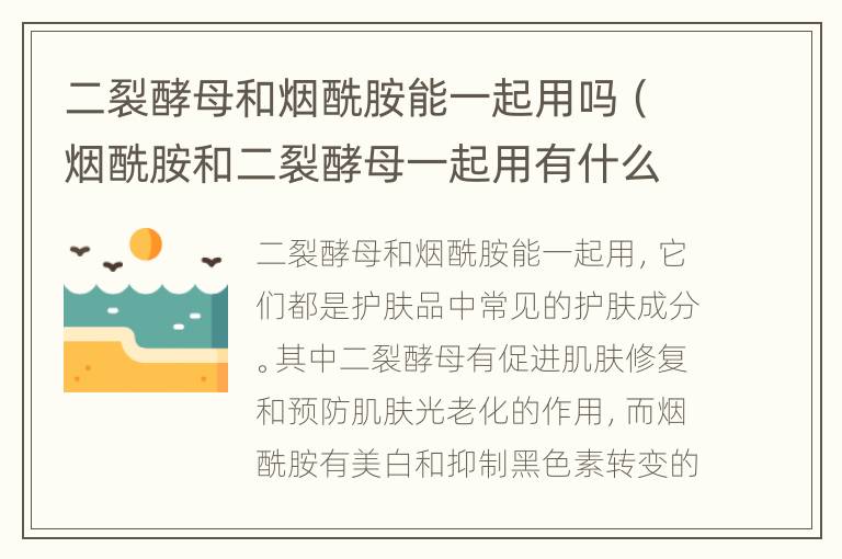 二裂酵母和烟酰胺能一起用吗（烟酰胺和二裂酵母一起用有什么作用）