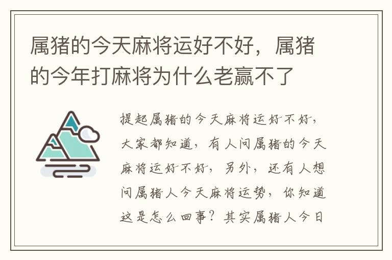 属猪的今天麻将运好不好，属猪的今年打麻将为什么老赢不了