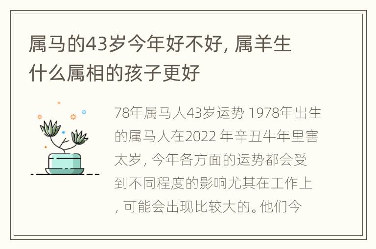 属马的43岁今年好不好，属羊生什么属相的孩子更好