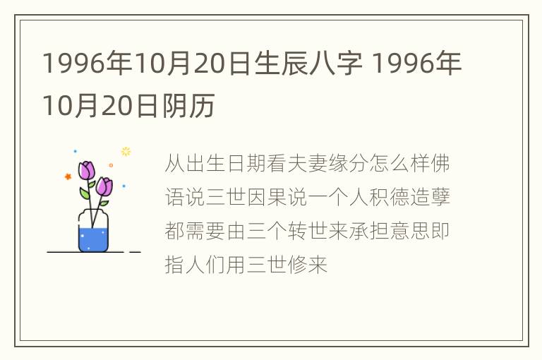 1996年10月20日生辰八字 1996年10月20日阴历