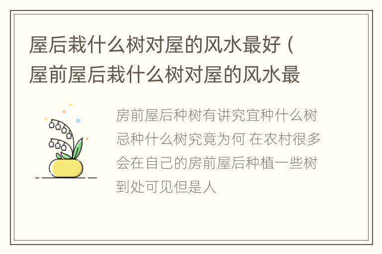 屋后栽什么树对屋的风水最好（屋前屋后栽什么树对屋的风水最好）