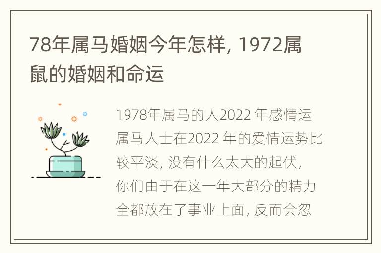 78年属马婚姻今年怎样，1972属鼠的婚姻和命运