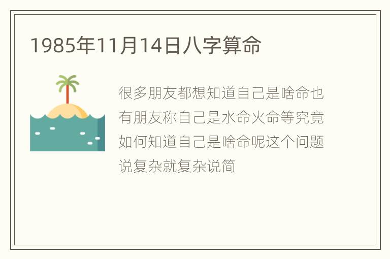 1985年11月14日八字算命