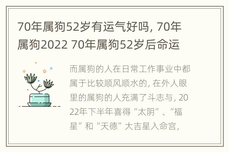 70年属狗52岁有运气好吗，70年属狗2022 70年属狗52岁后命运