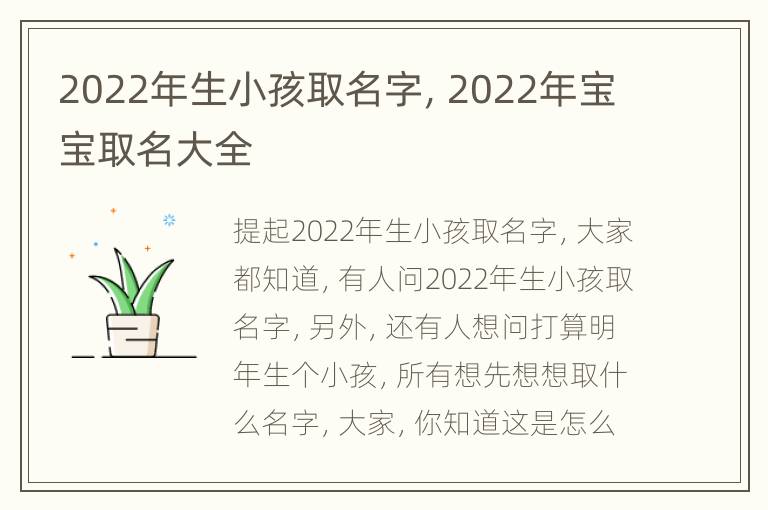 2022年生小孩取名字，2022年宝宝取名大全