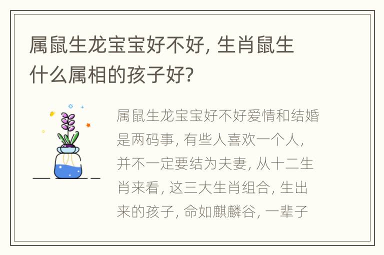 属鼠生龙宝宝好不好，生肖鼠生什么属相的孩子好?