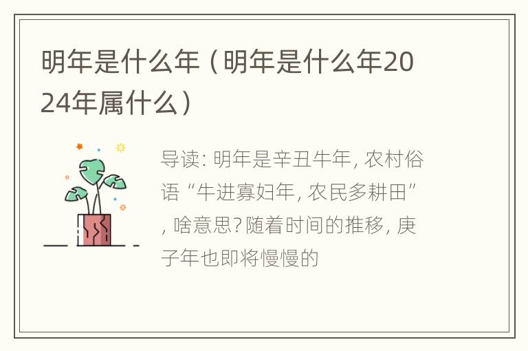 明年是什么年（明年是什么年2024年属什么）