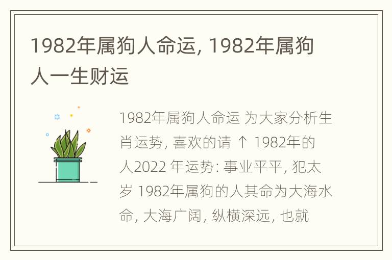 1982年属狗人命运，1982年属狗人一生财运