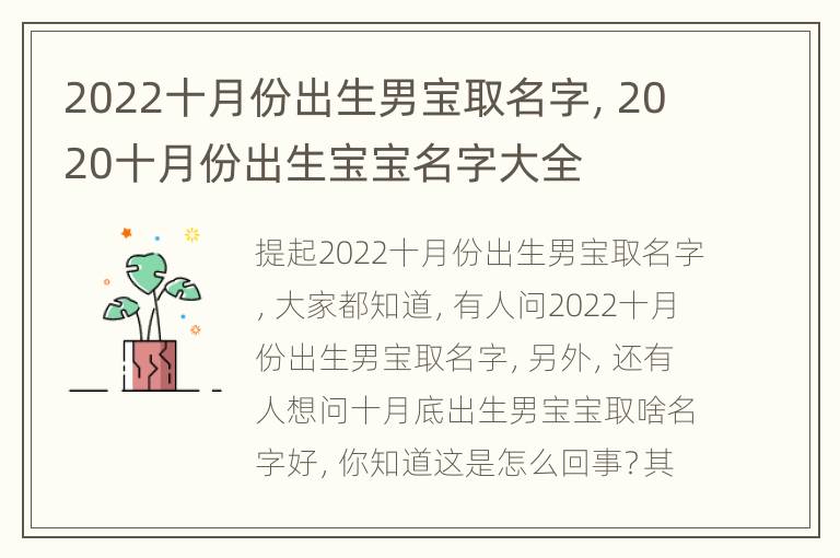 2022十月份出生男宝取名字，2020十月份出生宝宝名字大全