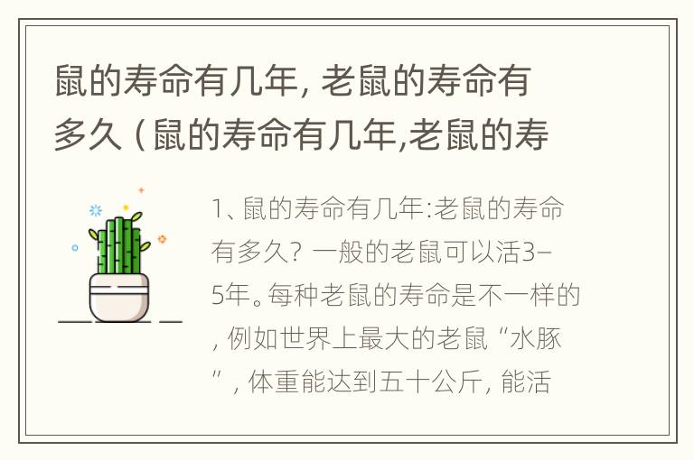 鼠的寿命有几年，老鼠的寿命有多久（鼠的寿命有几年,老鼠的寿命有多久呢）