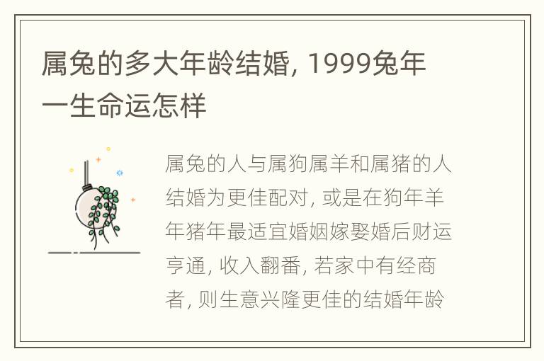 属兔的多大年龄结婚，1999兔年一生命运怎样