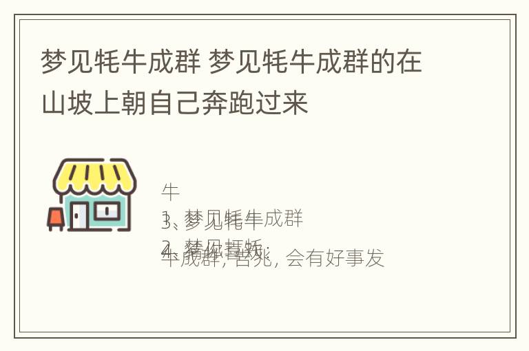 梦见牦牛成群 梦见牦牛成群的在山坡上朝自己奔跑过来