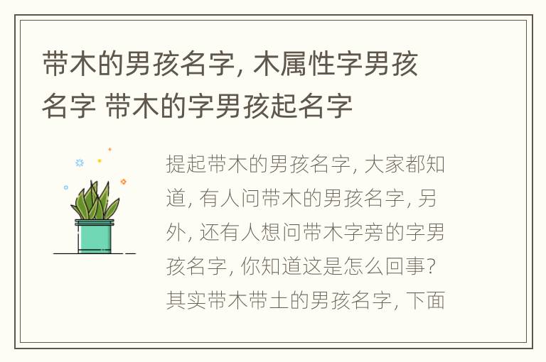 带木的男孩名字，木属性字男孩名字 带木的字男孩起名字