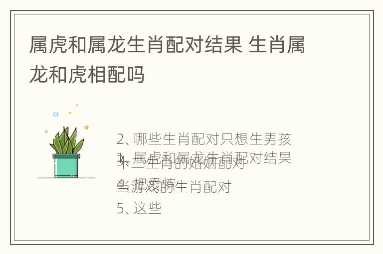 属虎和属龙生肖配对结果 生肖属龙和虎相配吗