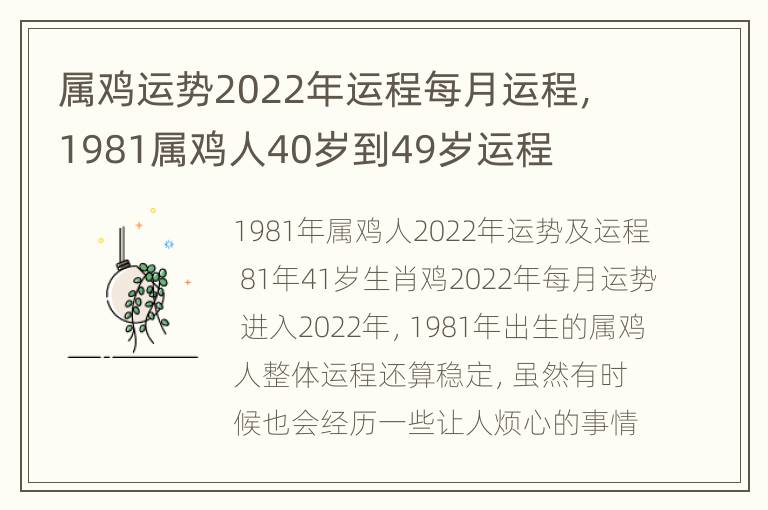 属鸡运势2022年运程每月运程，1981属鸡人40岁到49岁运程