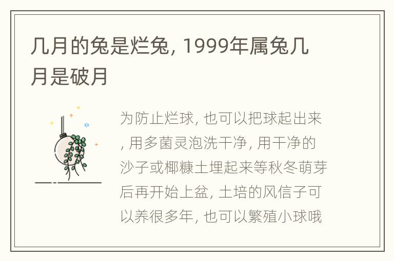 几月的兔是烂兔，1999年属兔几月是破月