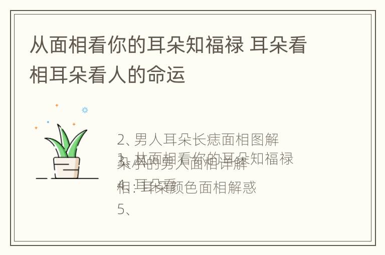 从面相看你的耳朵知福禄 耳朵看相耳朵看人的命运