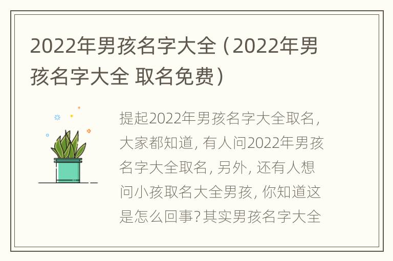 2022年男孩名字大全（2022年男孩名字大全 取名免费）