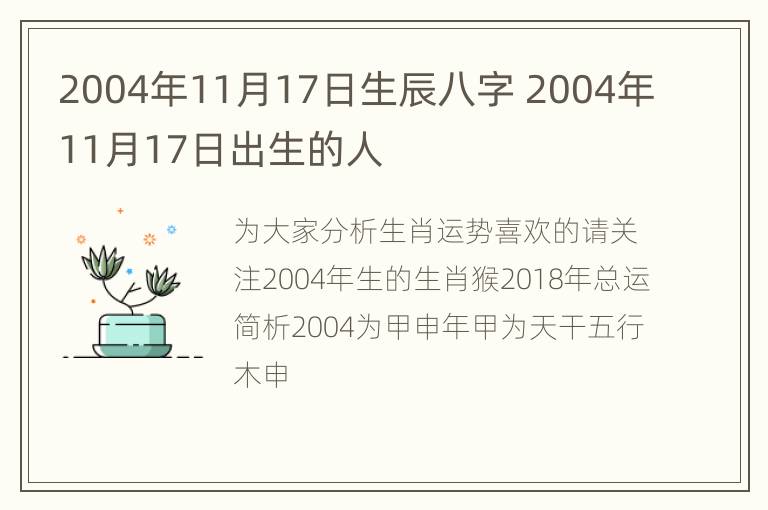 2004年11月17日生辰八字 2004年11月17日出生的人