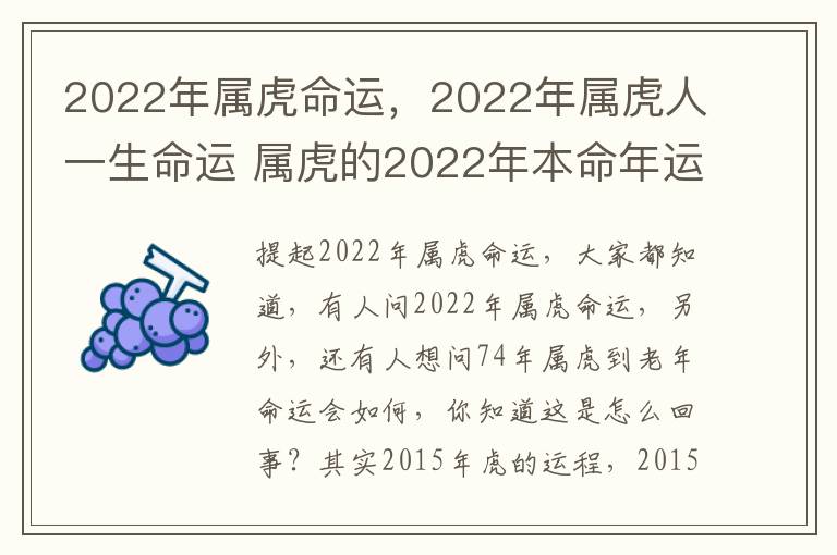 2022年属虎命运，2022年属虎人一生命运 属虎的2022年本命年运势如何