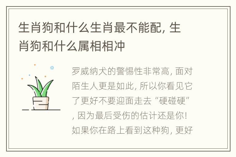 生肖狗和什么生肖最不能配，生肖狗和什么属相相冲